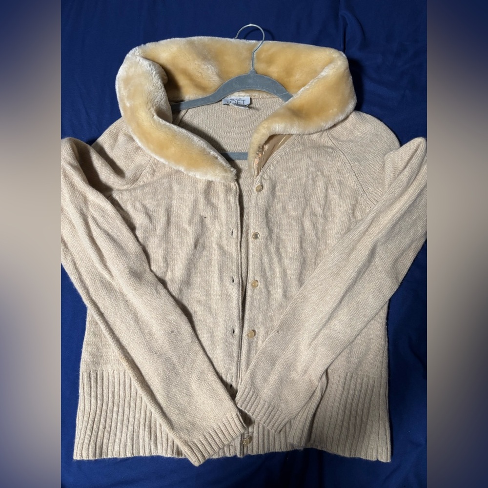 Ann taylor sweater